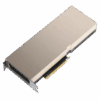PNY A30 NVIDIA 24 GB Memoria a banda larga elevata 2 (HBM2) - 3536403384135 - immagine 2