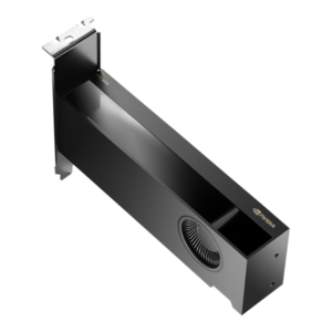 PNY NVIDIA RTX 2000 Ada Generation 16 GB GDDR6 - 3536403398972