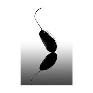 MOUSE OTTICO USB TARGUS RETRACTABLE COMPATTO - 5051794002737